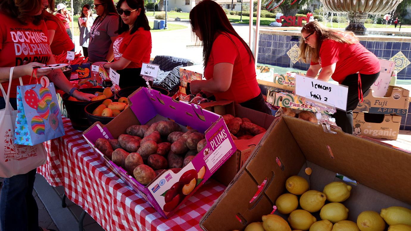 food distribution from the Dolphin Pantry