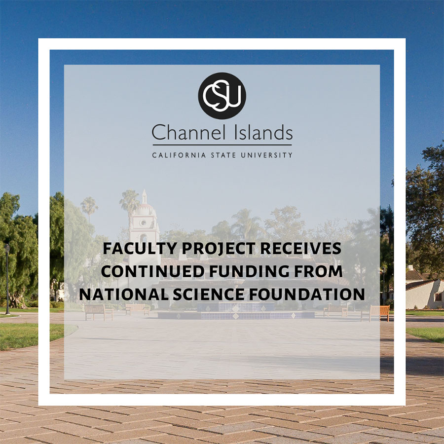 Faculty project receives continued funding from National Science Foundation