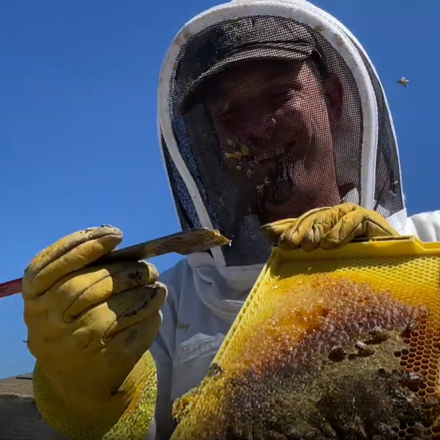 Kevin Bock in a beekeeping suit working with bees 
