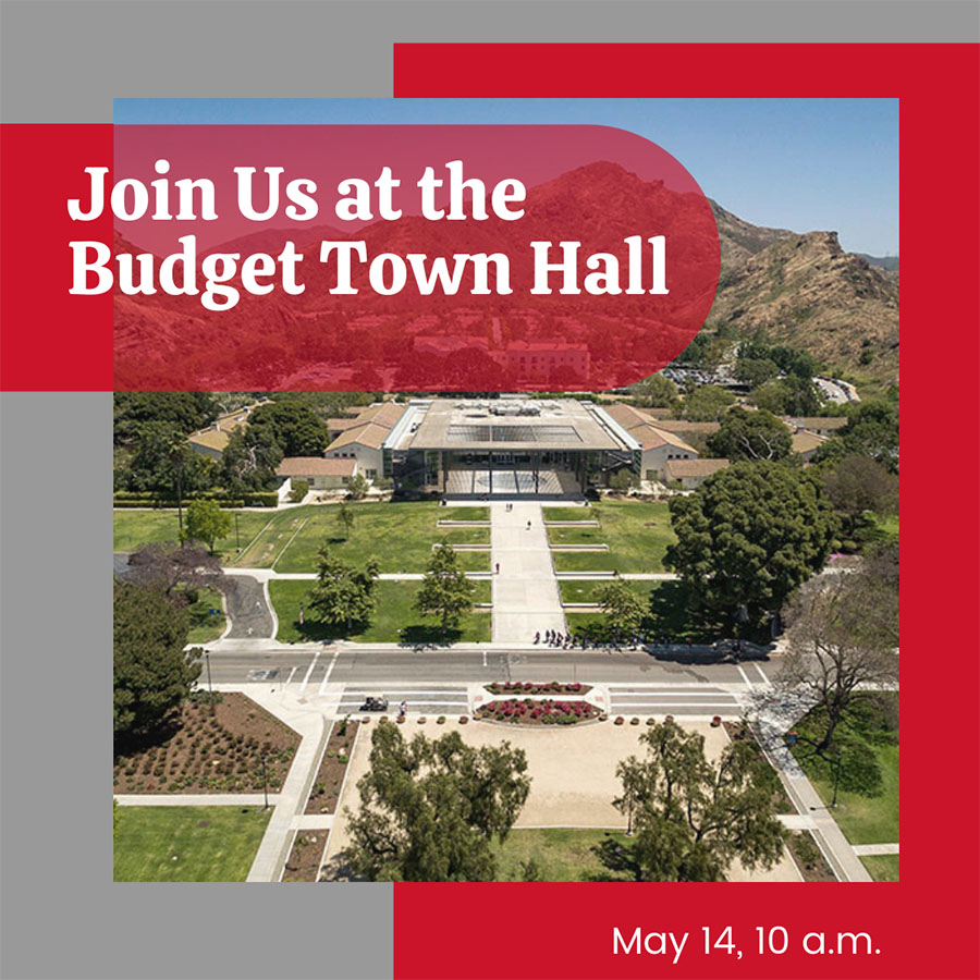 Budget Town Hall