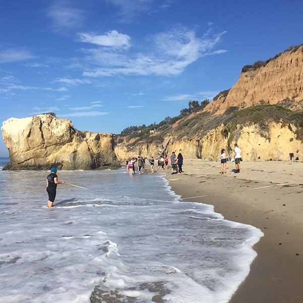 Photo of students on a beach