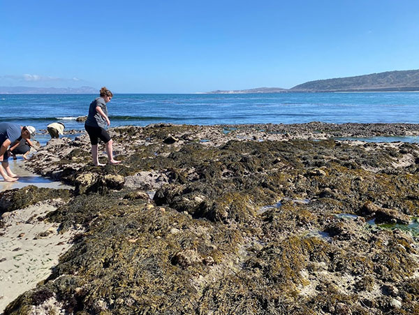 researcher walking in tidepools at Santa Rosa Island