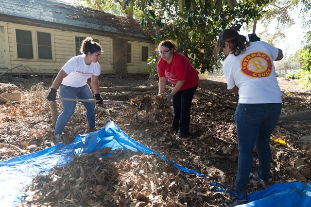 MLK Day of Service