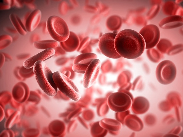 Stem Cells Courtesy of Stanford University