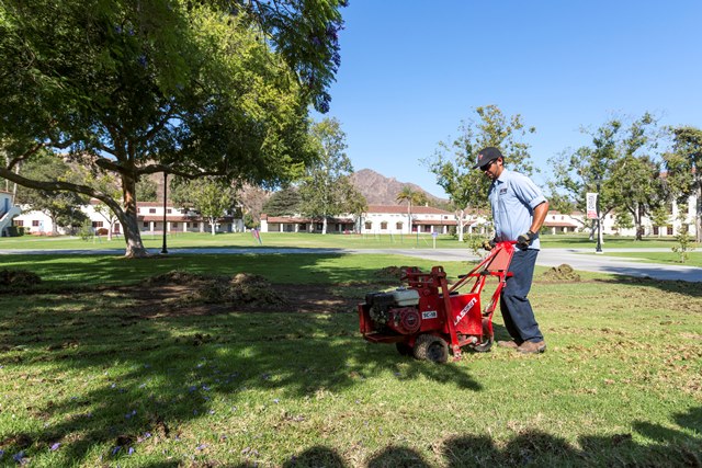 Turf Removal