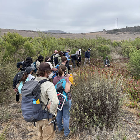 ESRM students participate in research during a field studies class