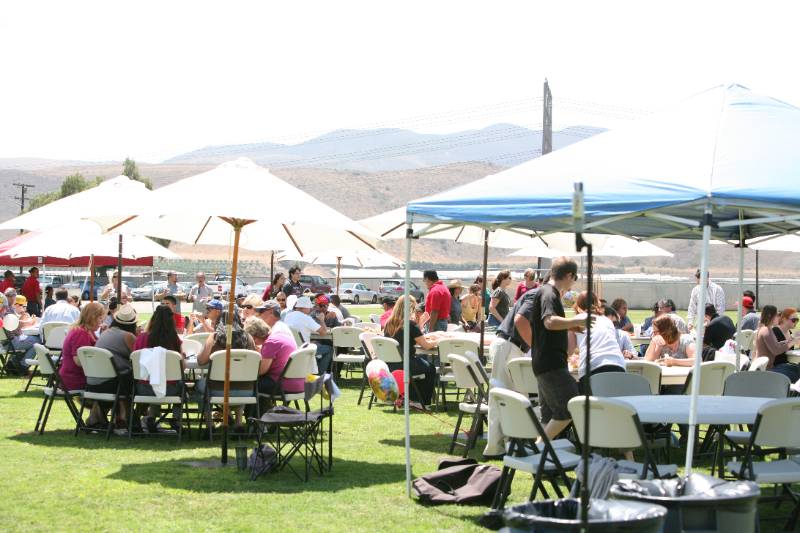 CI staff & faculty enjoy lunch at the Annual BBQ