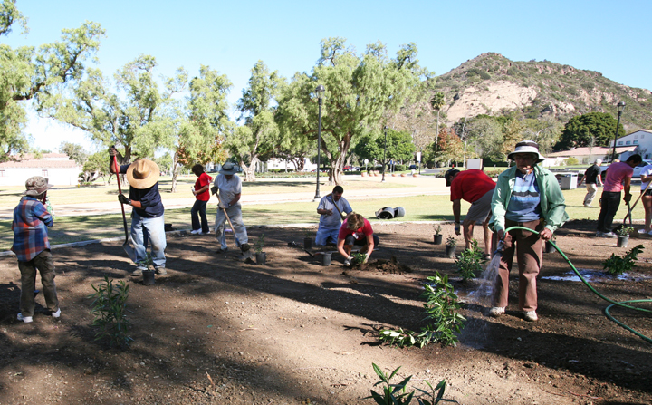 CI Planting Days