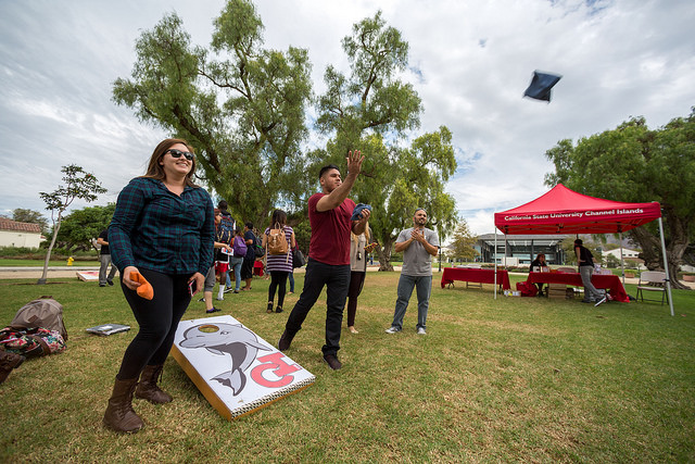 Corn hole game