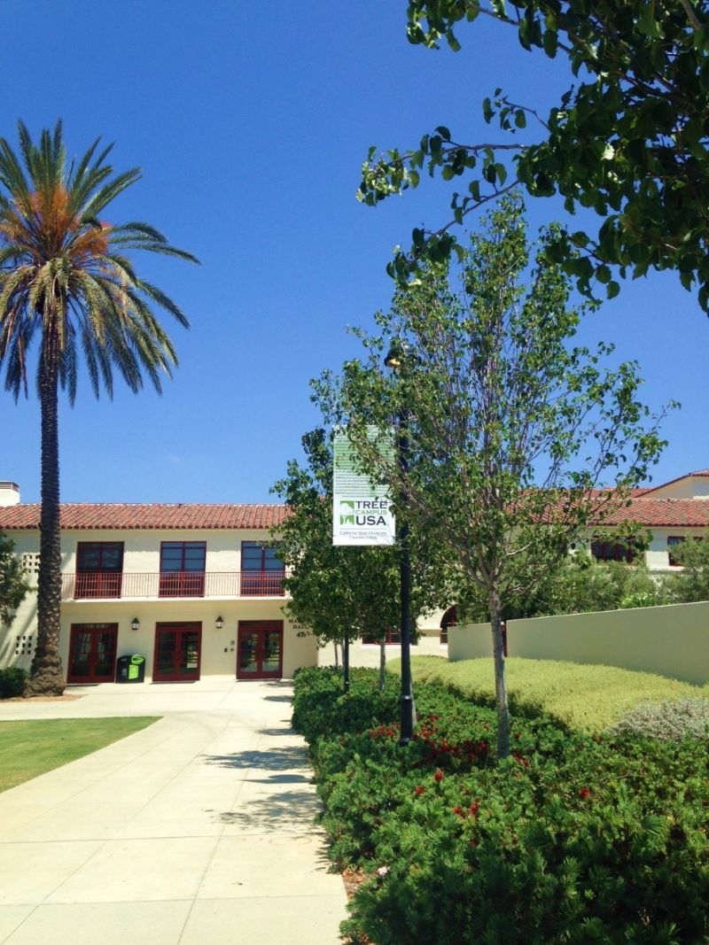 Tree Campus