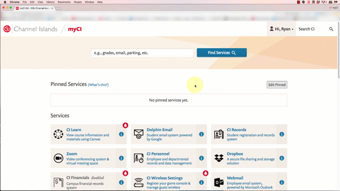 Animation showing how to add and remove pinned services