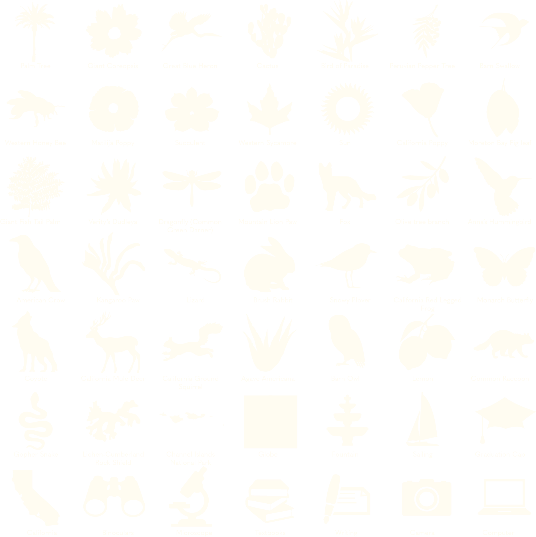 CSUCI icons