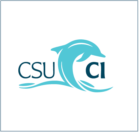 2C positive dolphin