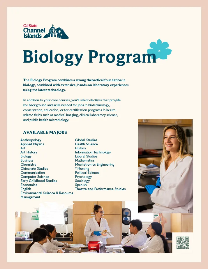 example program flyer