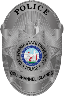 badge badge