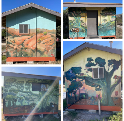 Four sides of old fox hospital on Santa Rosa Island, showcasing Clous Forest Mural.