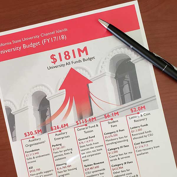 Flyer titled University Budget