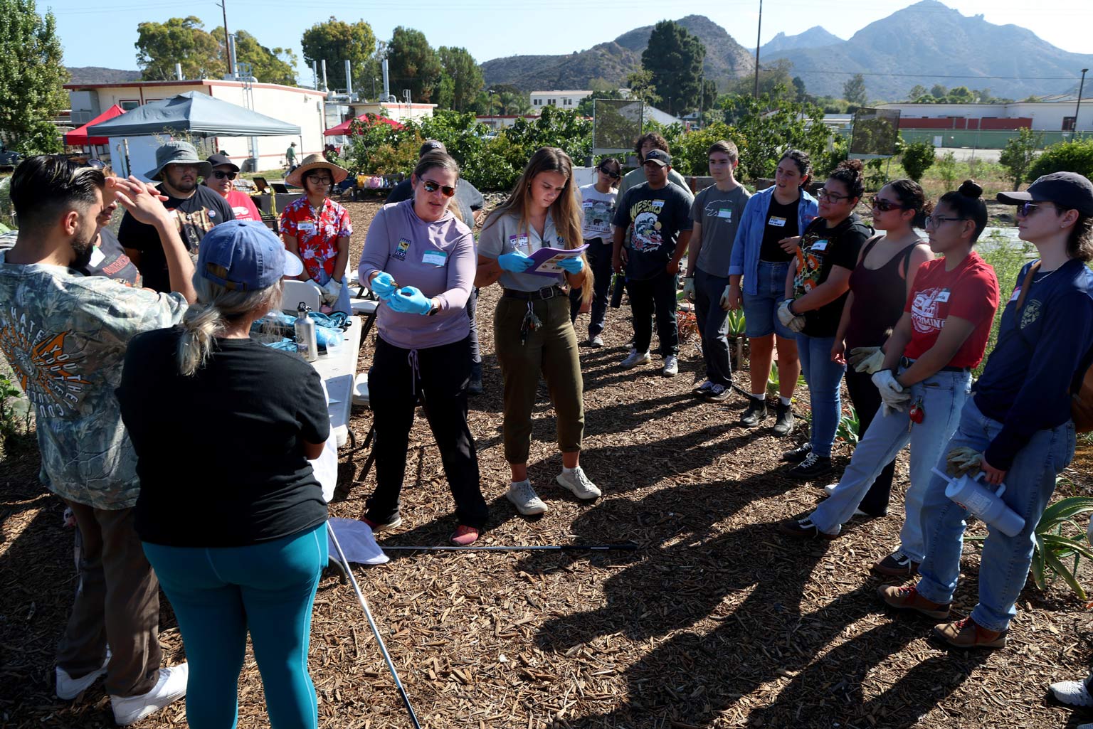 Butterfly Tagging Learning about Monarch conservation: Zoo experts demonstrate butterfly tagging for CSUCI students in the Modoc Garden.