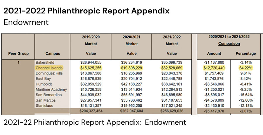 summary of 2021-22 philanthropic endowment details