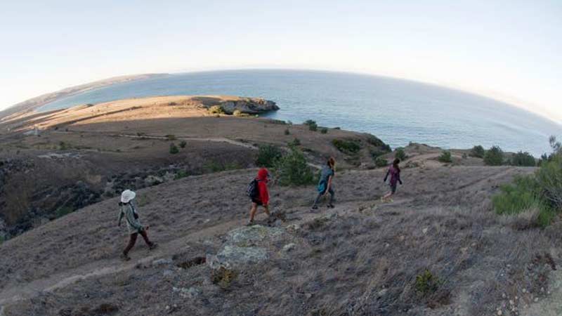 Group of 4 students hiking