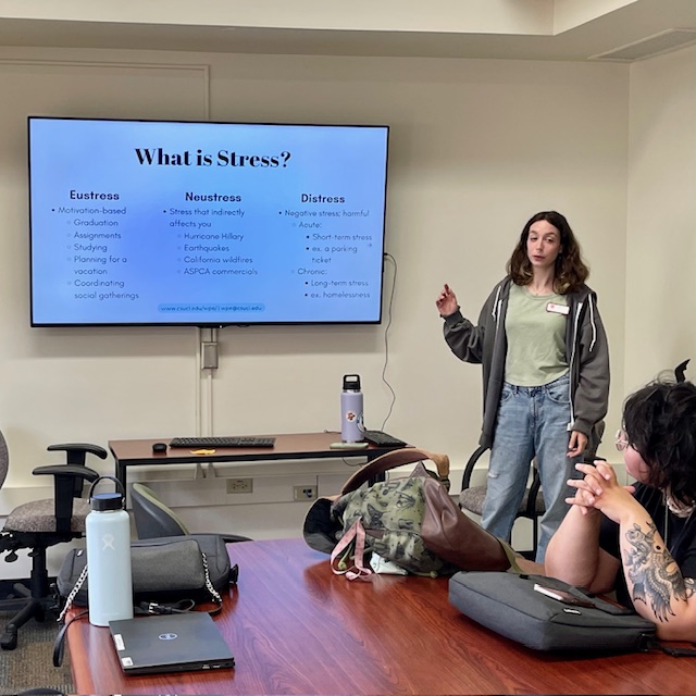 What is stress presentation