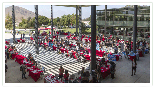 Clubs and Orgs Fair