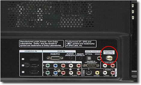 ANT/Cable in
