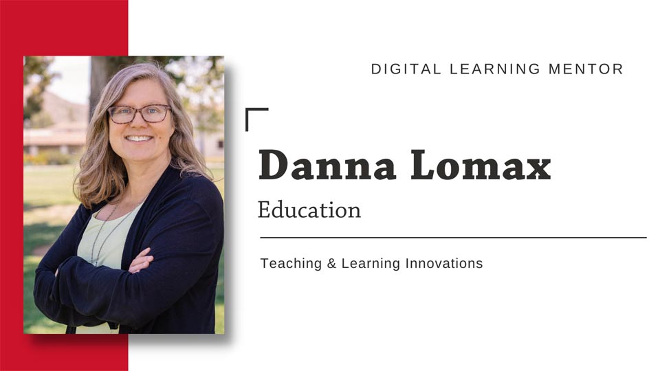 Danna Lomax DLM video introduction