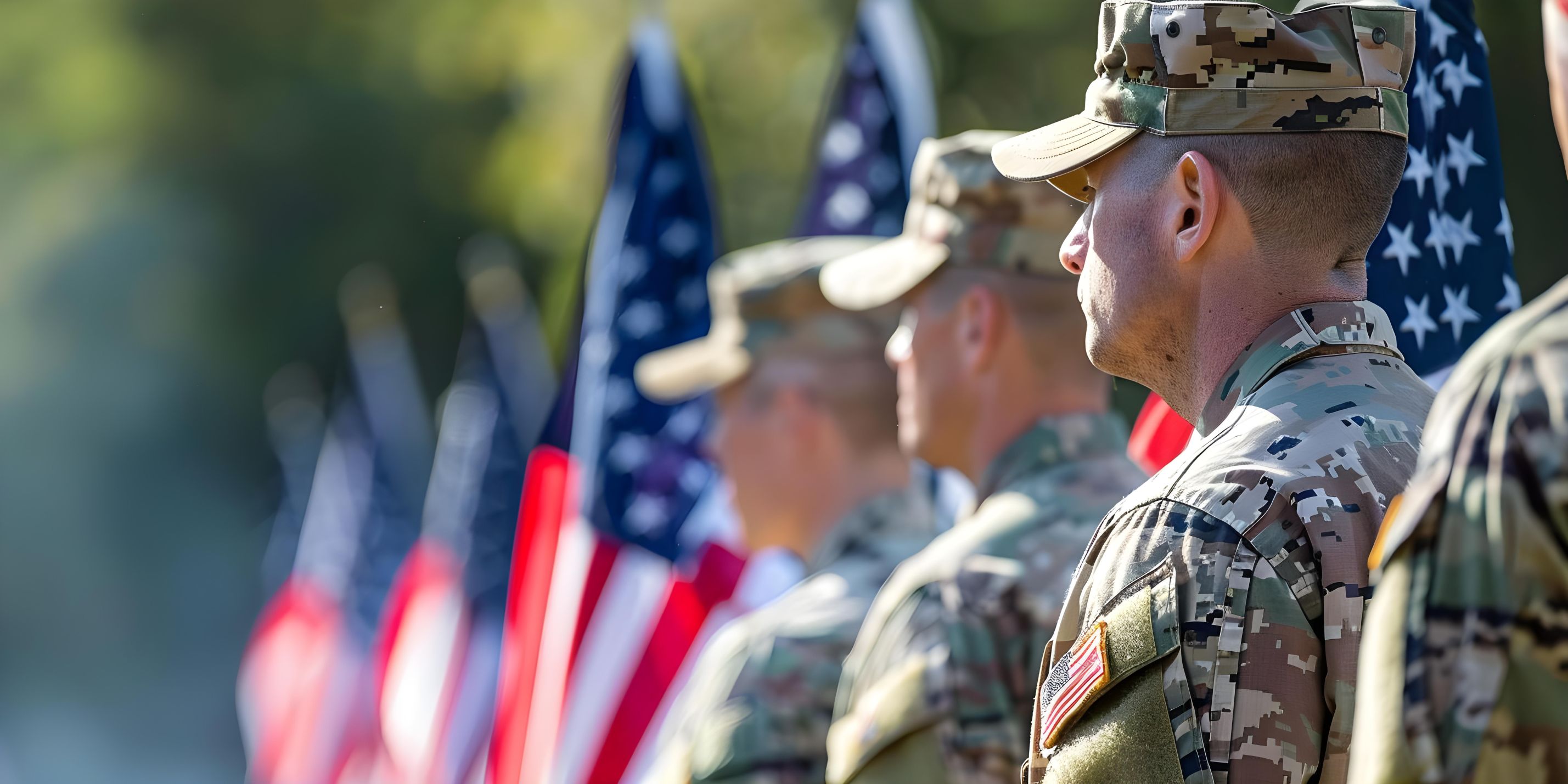soldiers and flags picture