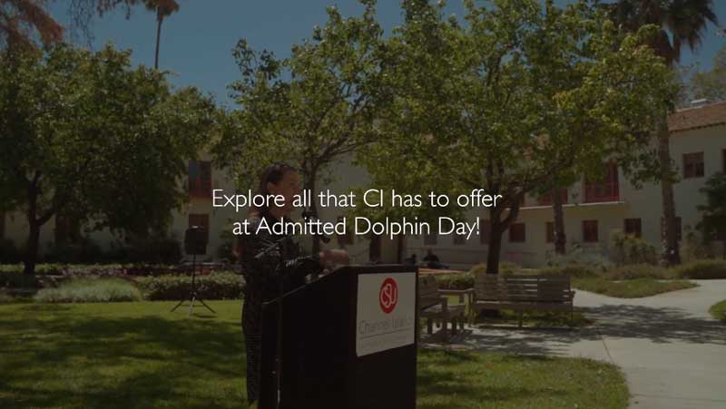 Explore all that CI has to offer on Admitted Dolphin Day