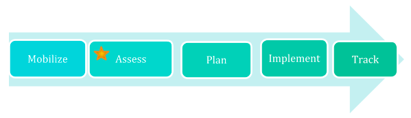 MAP-IT Framework: Mobilize, Assess (we are here), Plan, Implement, and Track