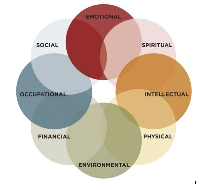 The 8 dimensions of the wellness wheel: emotional, spiritual, intellectual, physical, environmental, financial, occupational, and social wellness.